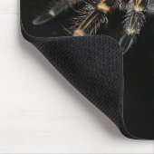 Tarantula-muisblok Muismat (Hoek)