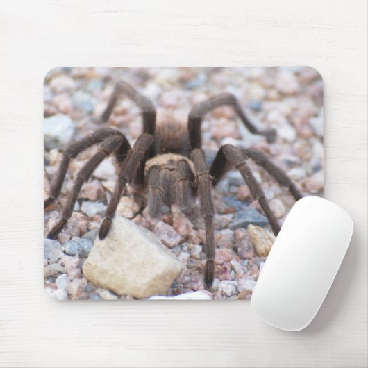 Tarantula Muismat (Met muis)