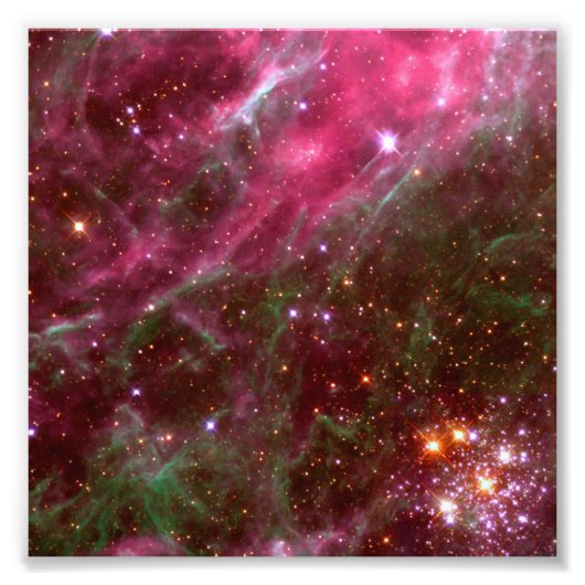 Tarantula Nebula (Hubble Telescope) Foto Afdruk (Voorkant)