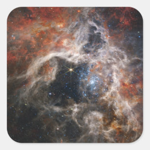 Tarantula Nebula James Webb telescope nasa sterren Vierkante Sticker
