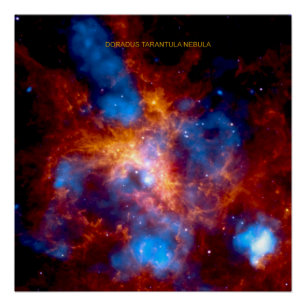Tarantula-nevel 30 Doradus Perfect Poster