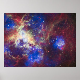 Tarantula-nevel Poster