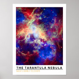 Tarantula Nevel Ruimte Onderwijs Poster