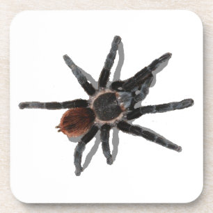 Tarantula-onderzetter, ruggenmergdierspinplagen onderzetter