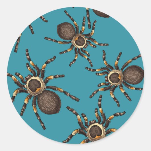Tarantula op blauw ronde sticker (Voorkant)