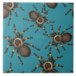Tarantula op blauw tegeltje