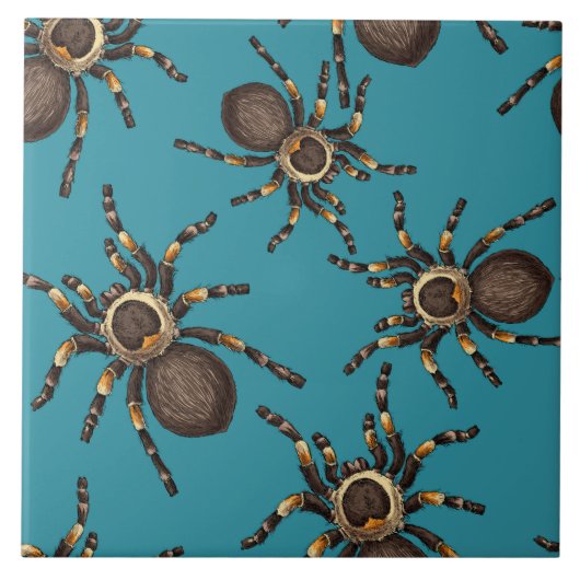 Tarantula op blauw tegeltje (Voorkant)