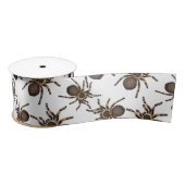 Tarantula op wit lint (Spoel)