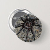 Tarantula Ronde Button 5,7 Cm (Voorkant /achterkant)