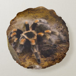 Tarantula Round Pillow Rond Kussen