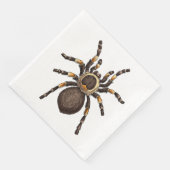 Tarantula Servet (Hoek)