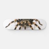 Tarantula Skateboard (Horizontaal)