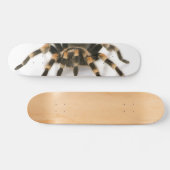 Tarantula Skateboard (Horizontaal)
