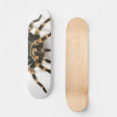 Tarantula Skateboard (Voorkant)