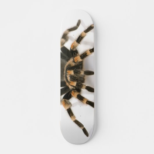 Tarantula Skateboard (Voorkant)