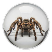 Tarantula Spider Decoratieve Knop, leuk Keramische Knop (Voorkant)