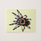 TARANTULA SPIDER LEGPUZZEL (Horizontaal)