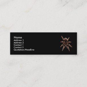Tarantula Spider Mini Visitekaartje