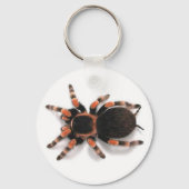 TARANTULA SPIDER SLEUTELHANGER KEYRING (Voorkant)
