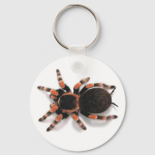 TARANTULA SPIDER SLEUTELHANGER KEYRING