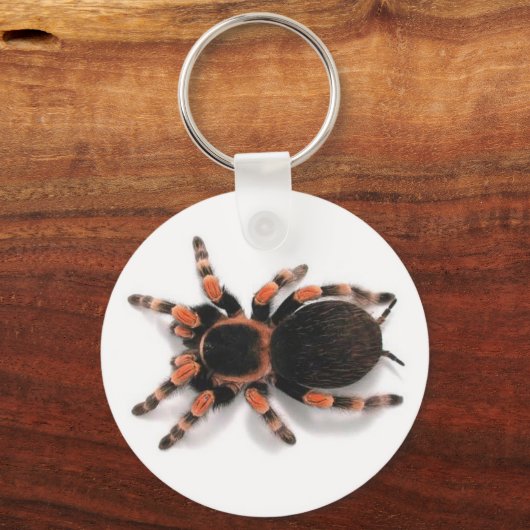 TARANTULA SPIDER SLEUTELHANGER KEYRING (Voorkant)