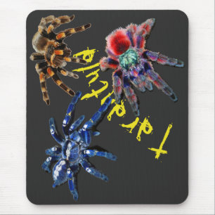 Tarantula spin, blauwe spin, rode spin, spinnen muismat