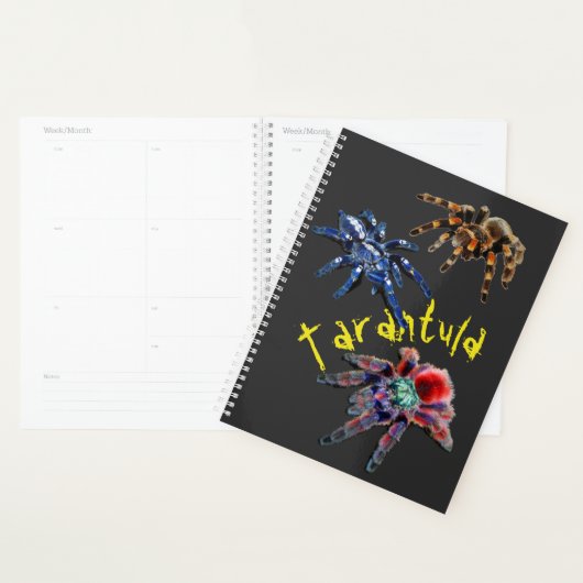 Tarantula spin, blauwe spin, rode spin, spinnen planner (Display)