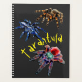 Tarantula spin, blauwe spin, rode spin, spinnen planner (Voorkant)