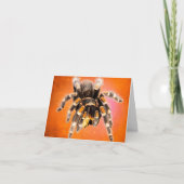 Tarantula Spin Get Better Kaart (Voorkant)