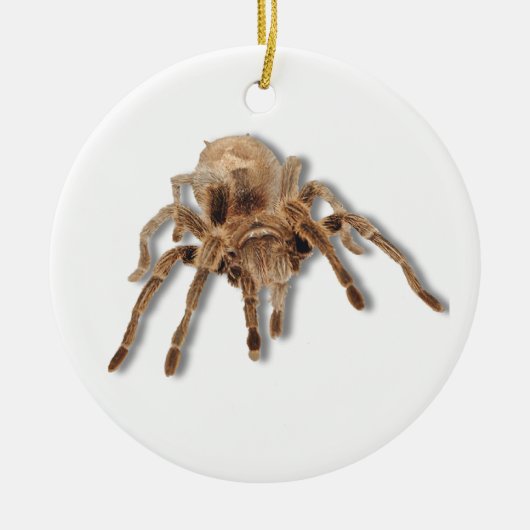 Tarantula spin keramisch ornament (Voorkant)