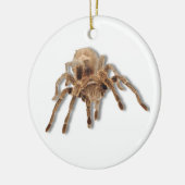 Tarantula spin keramisch ornament (Links)