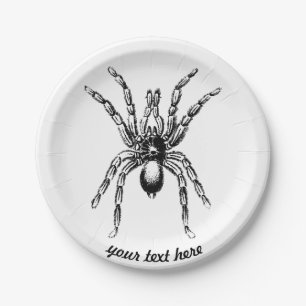 tarantula spin papieren bordje