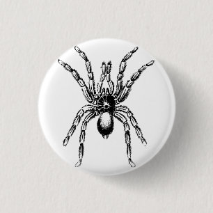 tarantula spin ronde button 3,2 cm