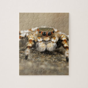 Tarantula Springende Vogelspin awesome accessoires Legpuzzel