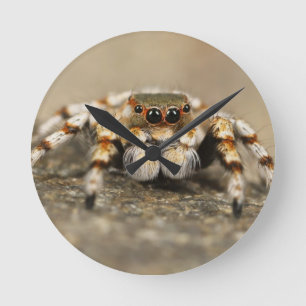 Tarantula Springende Vogelspin awesome accessoires Ronde Klok