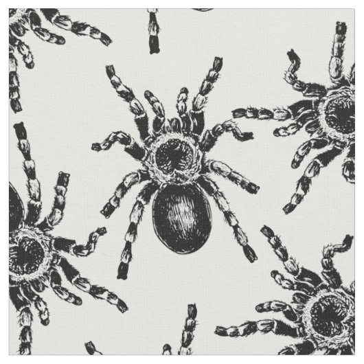 Tarantula Stof (Close Up)