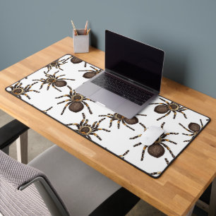 Tarantula sur blanc