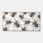 Tarantula sur blanc (Recto)