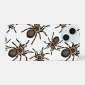 Tarantula sur blanc (Verso Horizontal)