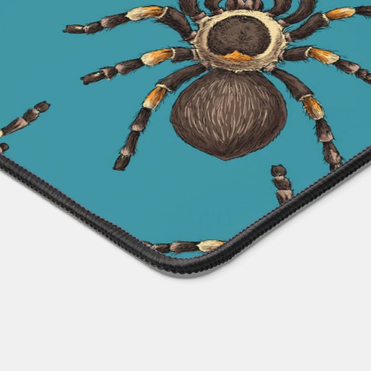 Tarantula sur bleu (Coin)