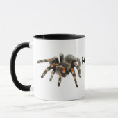 Tarantula, tarantul-mania, spin mok (Links)