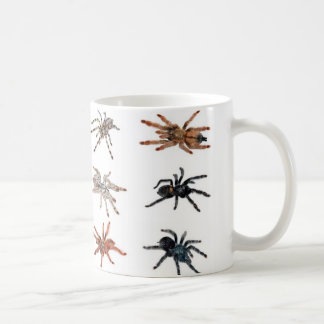 tarantulas koffiemok