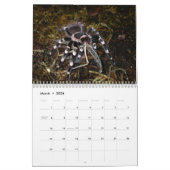 Tarantulas Wall Agenda Kalender (Mar 2026)