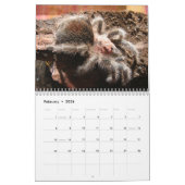 Tarantulas Wall Agenda Kalender (Feb 2026)