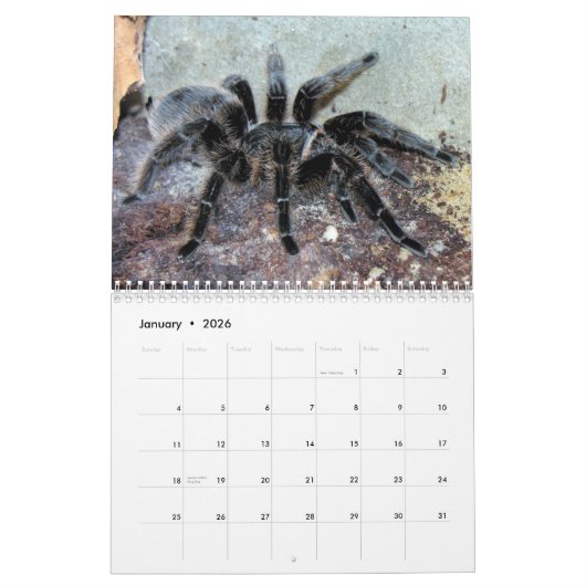 Tarantulas Wall Agenda Kalender (Jan 2026)