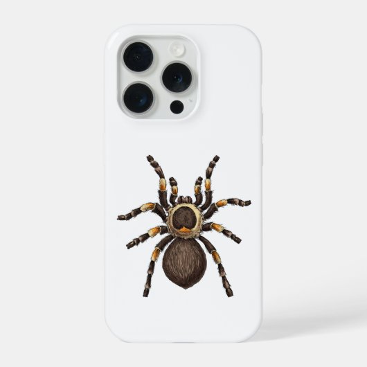 Tarantule (Verso)