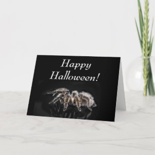 TARANTULE NOIRE, HALLOWEEN, CARTE DE VOEUX VIERGE