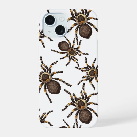 Tarantule sur fond blanc (Verso)