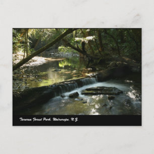 Tararua Forest Park, Wairarapa, N.Z. Briefkaart