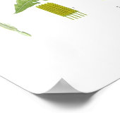 Taraxacum officinale (Dandelion) Poster (Hoek)